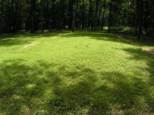 Effigy Mounds