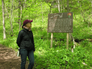 Effigy Mounds 2