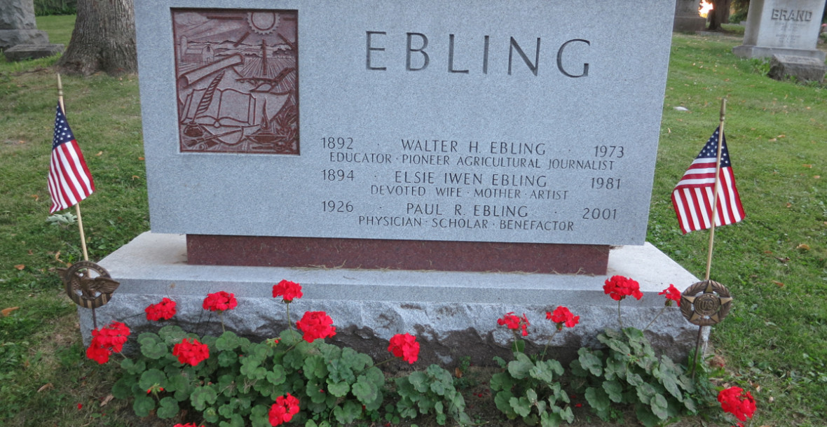 Ebling grave with geraniums 