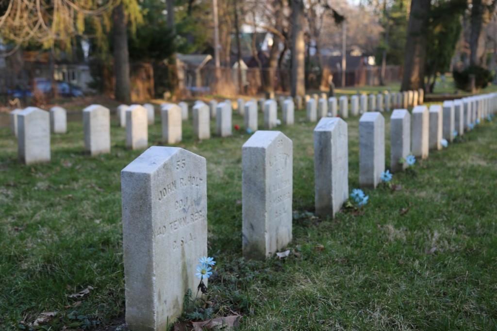 The graves of Confederate Rest. Photo by Joanna Wilson.