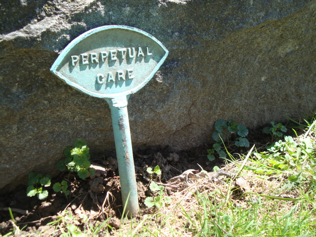 Perpetual care marker at Forest Hill.