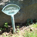 Perpetual care marker 