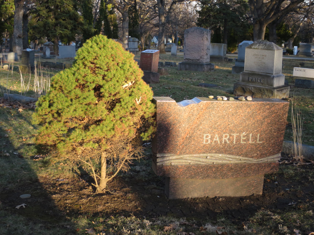 A graveside with a shrub on the left hand side of the memorial.  Photo by William Cronon.