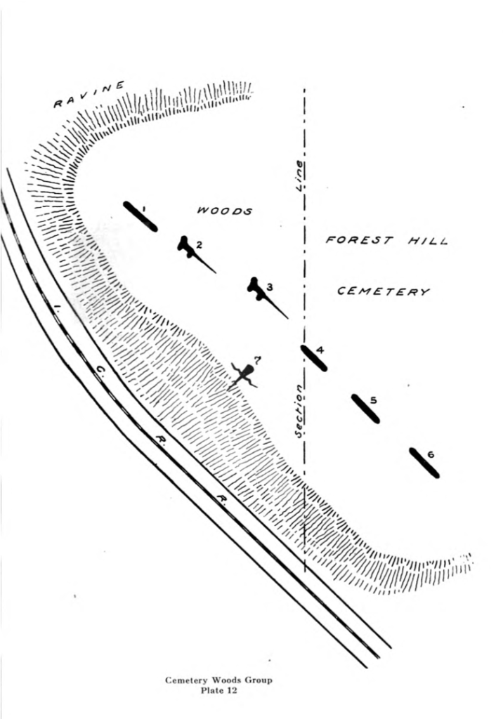 Forest Hill Cemetery Group.Photo Courtesy Wisconsin Society for Archaeology. 1915 map of the effigy mound group at Forest Hill Cemetery, by Charles E. Brown. Three of the linear mounds shown in this map were destroyed, as was the head of the goose mound.