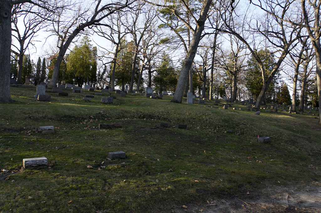The goose mound at Forest Hill Cemetery. The head of the goose was destroyed by grading for nearby railroad tracks. 