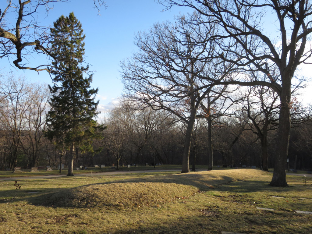 A linear mound at Forest Hill Cemetery. A 1915 drawing by Charles E. Brown showed a total of four linear mounds, but several were destroyed to make room for new gravesites. Today, mounds in Wisconsin are protected from disturbance by the Burial Sites Preservation Law. Photo by William Cronon.