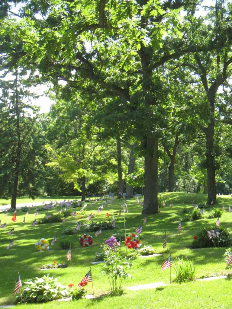 Effigy Mounds & Military Graves