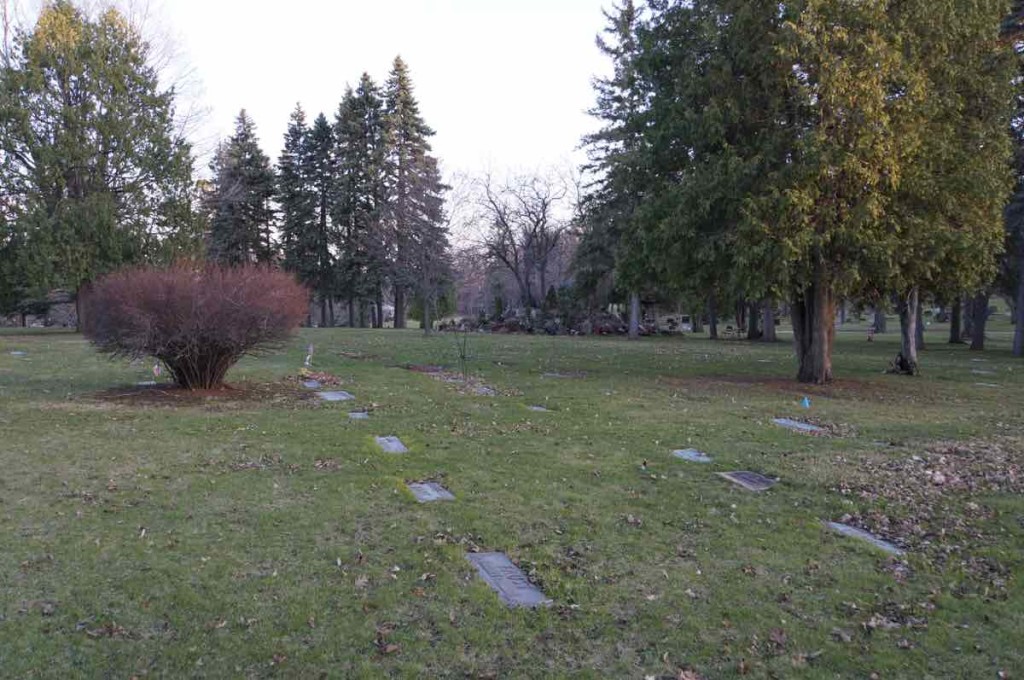 Section 7 Plate Graves