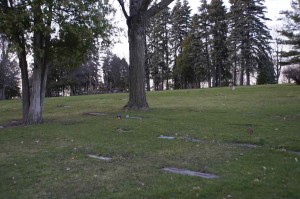 Section 7 Plate Graves