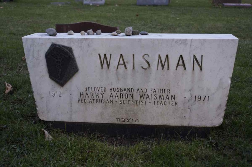 Harry Aaron Waisman