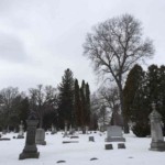 Outstanding oak. Photo by Adrienne Hagen.