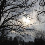 Photo by Adrienne Hagen.