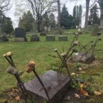 Stone "flowers" around the gravestones of Bess Paley Stein and Meril Stein. Photo by Adrienne Hagen. Stone flowers