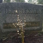 A bundle of pussy willows fixed into the earth. Photo by Adrienne Hagen. Pussy willows