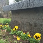 Yellow pansies at the Rennebohm family plot. Photo by Adrienne Hagen. Pansies