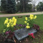 Snapdragons, pansies, and other plantings at the gravestone of Wally Welker. Photo by Adrienne Hagen. Colorful annuals