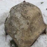 Sedimentary: Family plot wall, local sandstone. Photo by CS Thomson.