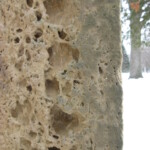 Sedimentary: Pitted weathering characteristic of local sandstone. Photo by CS Thomson.