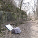 Remnant quarry wall in Hoyt Park. Photo by CS Thomson.
