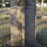 Sedimentary: brownstone with cross-bedding, sandstone. Photo by William Cronon.
