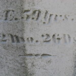 Sedimentary or metamorphic? Photo by CS Thomson.