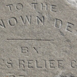 Metamorphic or sedimentary? Photo by CS Thomson.